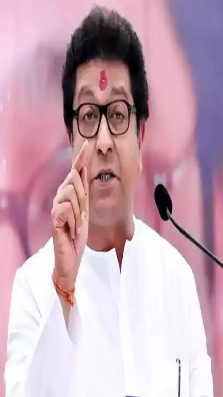 திரிஷா அப்பவே எப்படி இருந்தாங்கன்னு தெரியுமா? கிளாஸ்மேட் பகிர்ந்த தகவல்... அட அவங்களா..! திரிஷா அப்பவே எப்படி இருந்தாங்கன்னு தெரியுமா? கிளாஸ்மேட் பகிர்ந்த தகவல்... அட அவங்களா..!
