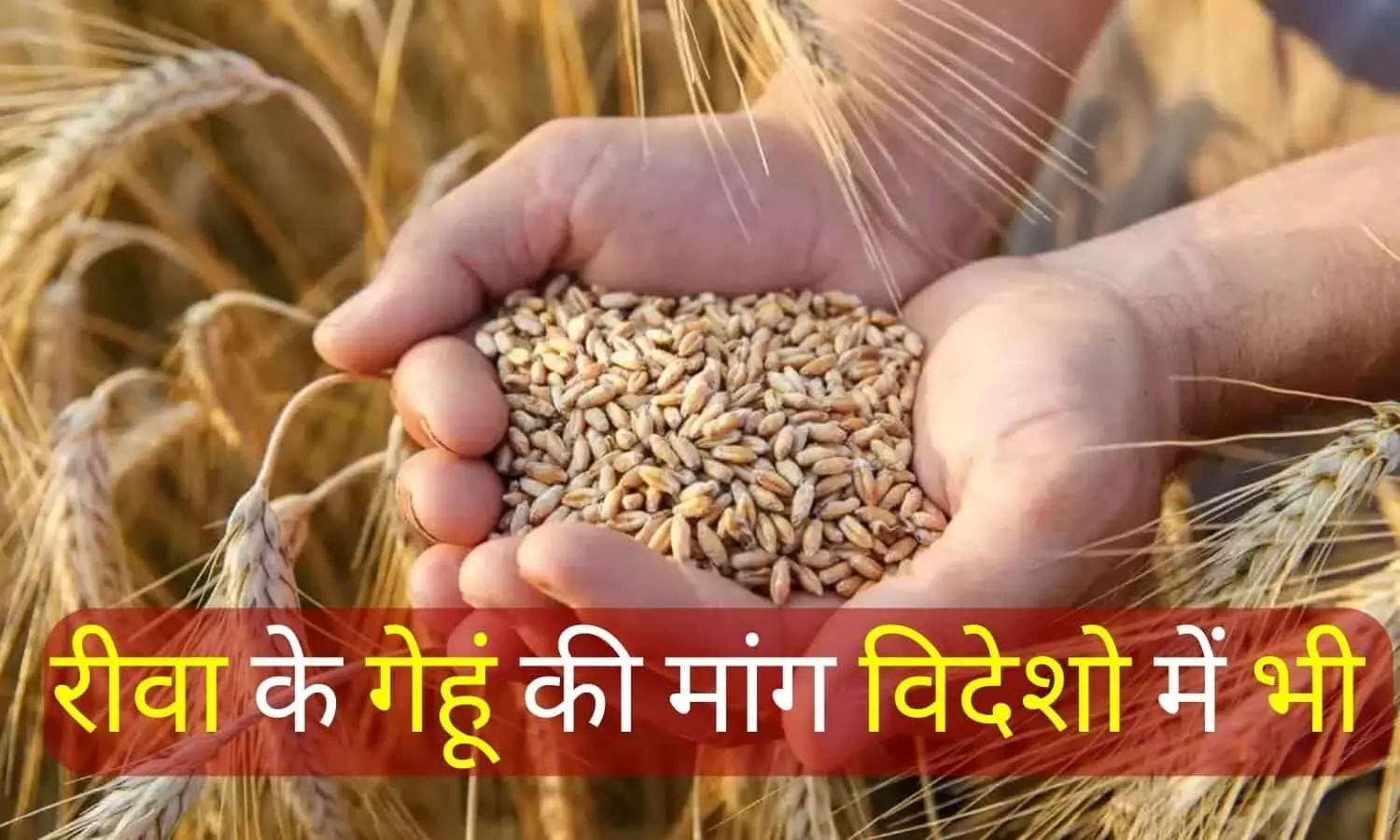 விஜய், சூர்யா பற்றி எல்லாம் நான் ஏன் பேசணும்?.. நிகழ்ச்சியில் கடுப்பான மக்கள் செல்வன்.. விஜய், சூர்யா பற்றி எல்லாம் நான் ஏன் பேசணும்?.. நிகழ்ச்சியில் கடுப்பான மக்கள் செல்வன்..