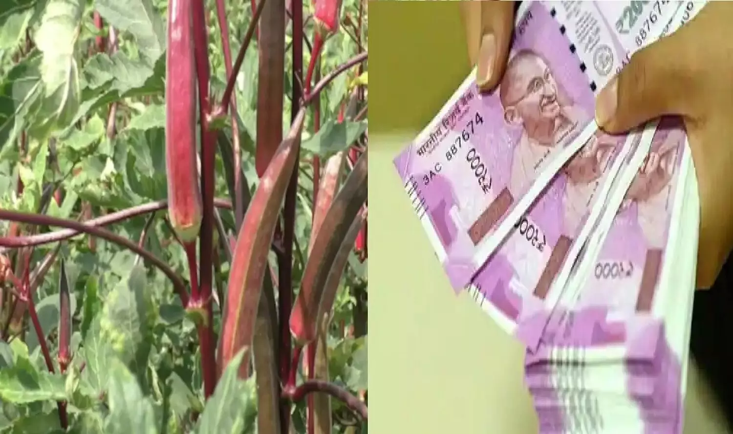 சீமானே சைலன்ட் ஆயிட்டாரு!.. ஆனா இவரு விடமாட்டார் போல.. விஜய நான் ஸ்டாப்பா அடிக்கிறாரே!.. சீமானே சைலன்ட் ஆயிட்டாரு!.. ஆனா இவரு விடமாட்டார் போல.. விஜய நான் ஸ்டாப்பா அடிக்கிறாரே!..