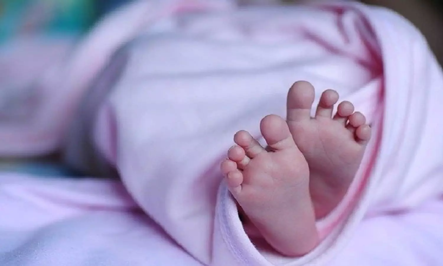அஜித்தின் அடுத்த பட டைரக்டர் சிவா இல்லையாமே!. இது வேறவெவல் டிவிஸ்ட்!.. அஜித்தின் அடுத்த பட டைரக்டர் சிவா இல்லையாமே!. இது வேறவெவல் டிவிஸ்ட்!..