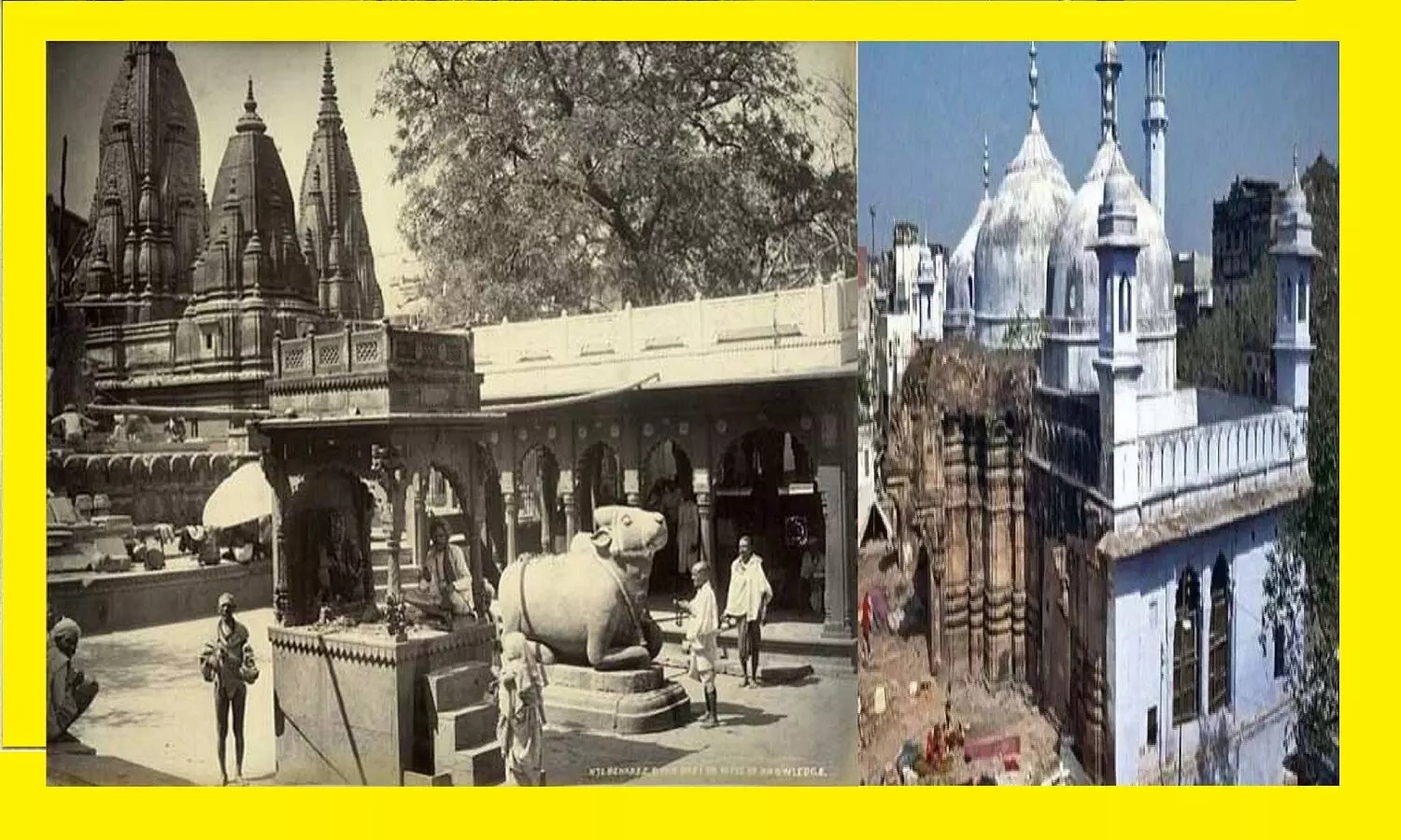 இந்திய சினிமாவில் புதிய ரெக்கார்டை உருவாக்கிய புஷ்பா 2... 14 நாளின் மொத்த வசூல்..! இந்திய சினிமாவில் புதிய ரெக்கார்டை உருவாக்கிய புஷ்பா 2... 14 நாளின் மொத்த வசூல்..!