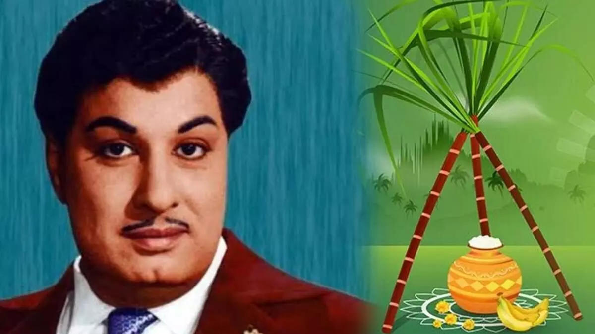 mgr pongal