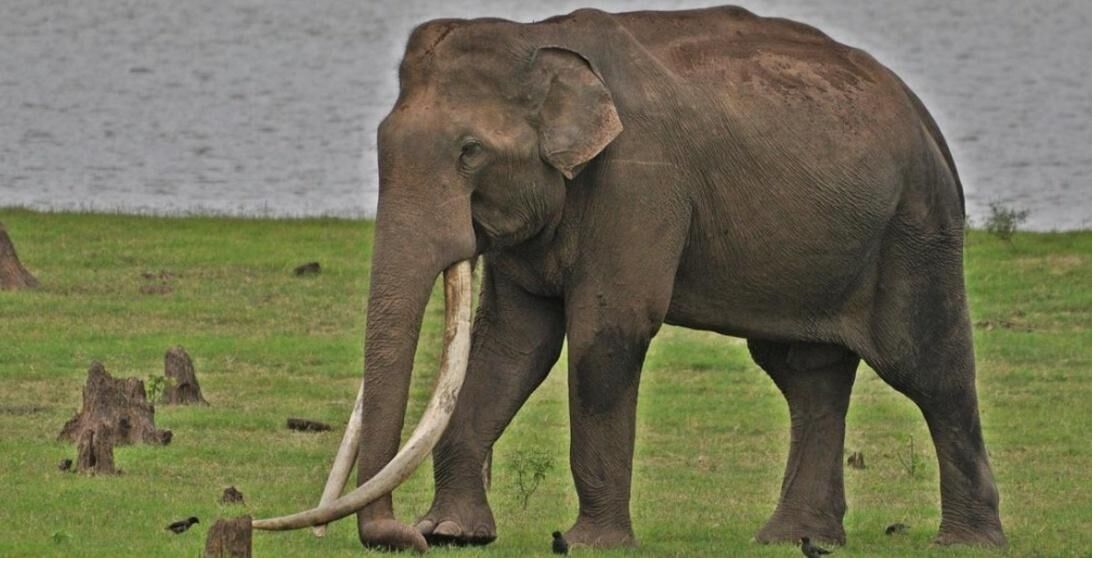 கூலி படத்தில் கேமியோ ரோலில் நடிக்க மறுத்த நடிகர்.. அவர்கிட்டயும் அப்ளிகேஷன் போட்டாரா லோகி? கூலி படத்தில் கேமியோ ரோலில் நடிக்க மறுத்த நடிகர்.. அவர்கிட்டயும் அப்ளிகேஷன் போட்டாரா லோகி?