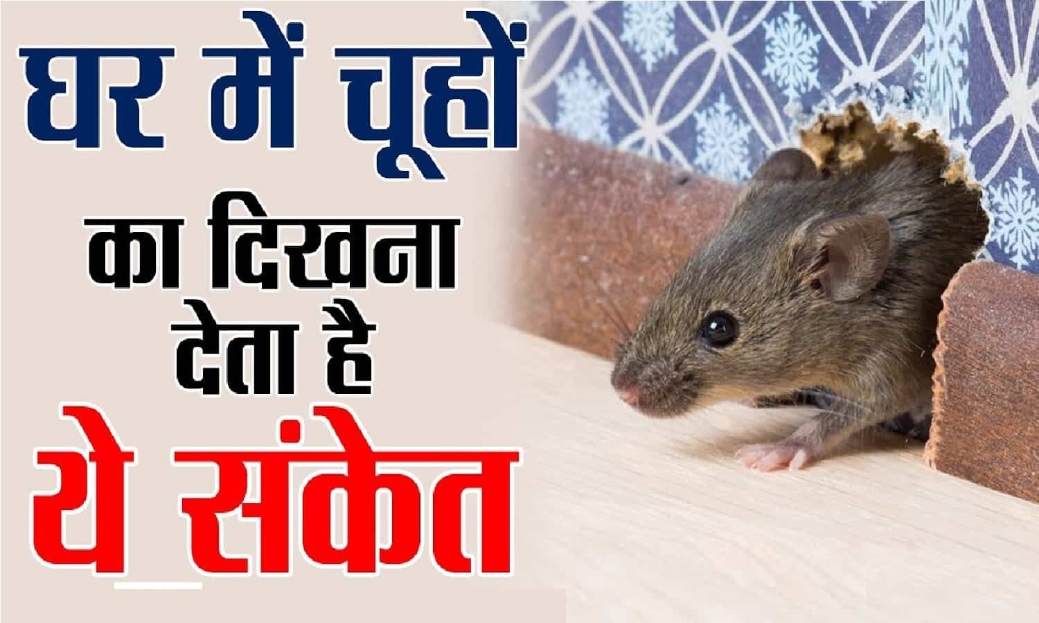 நீங்க சிவாஜியைத் தாக்கிப் பேசினீர்களா? நிருபரின் கேள்விக்கு நெத்தி அடி பதில் கொடுத்த எம்ஜிஆர்! நீங்க சிவாஜியைத் தாக்கிப் பேசினீர்களா? நிருபரின் கேள்விக்கு நெத்தி அடி பதில் கொடுத்த எம்ஜிஆர்!