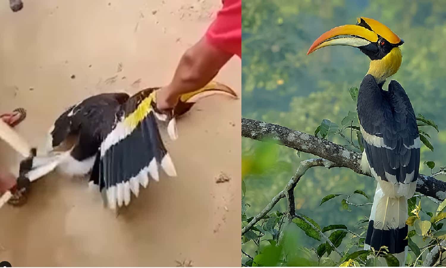 மூக்குத்தி அம்மன் 2வில் வில்லன் அருண்விஜய் இல்லையாம்.. அட இந்த நடிகரா? மூக்குத்தி அம்மன் 2வில் வில்லன் அருண்விஜய் இல்லையாம்.. அட இந்த நடிகரா?