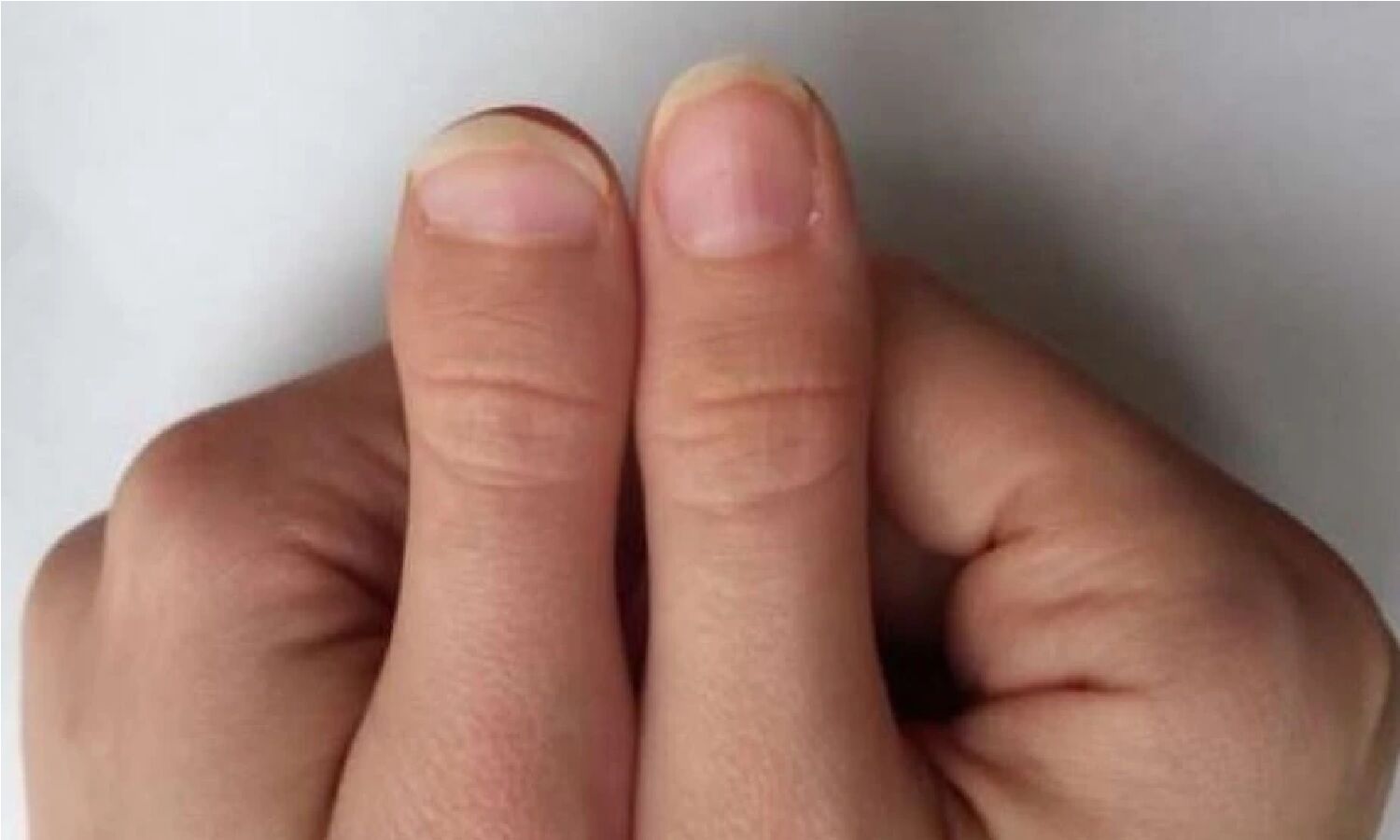 சினிமாவுல சீசன் நடிகர்கள்... அட லிஸ்ட்ல இவங்க எல்லாம் இருக்காங்களா? சினிமாவுல சீசன் நடிகர்கள்... அட லிஸ்ட்ல இவங்க எல்லாம் இருக்காங்களா?