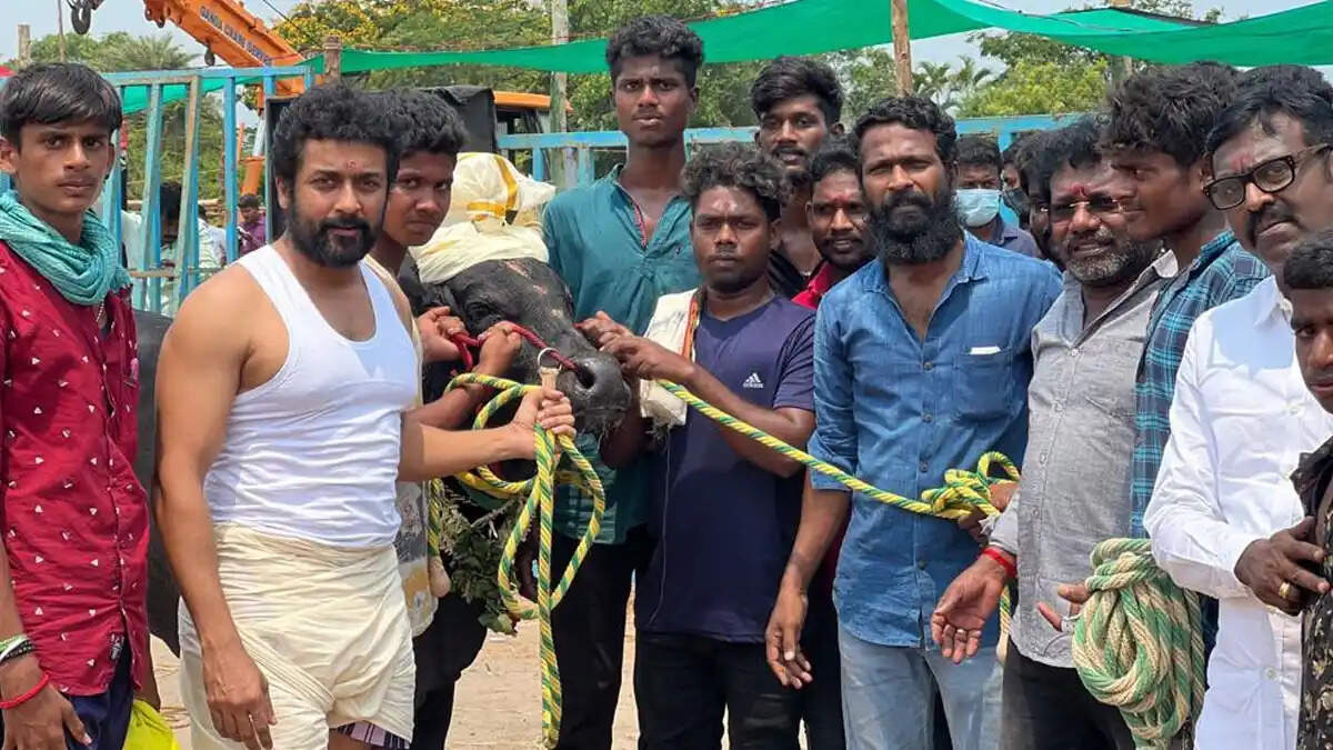 வாடிவாசல் ட்ராப்புனு யாரும் சொல்லாதீங்க&hellip; சூர்யா ரசிகர்களுக்கு ஹேப்பி நியூஸ்தான்!..
