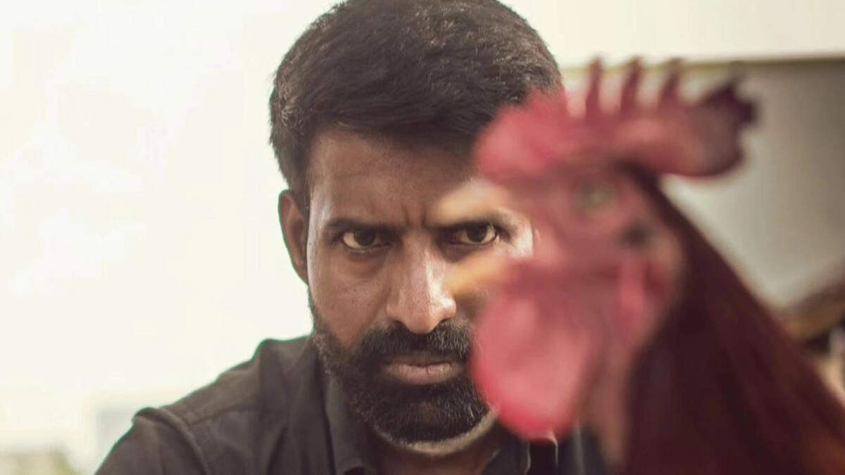 போட்டி போட்டு கல்லா கட்டுதே!&hellip; வசூலில் கொட்டுக்காளியை மிஞ்சிய வாழை..