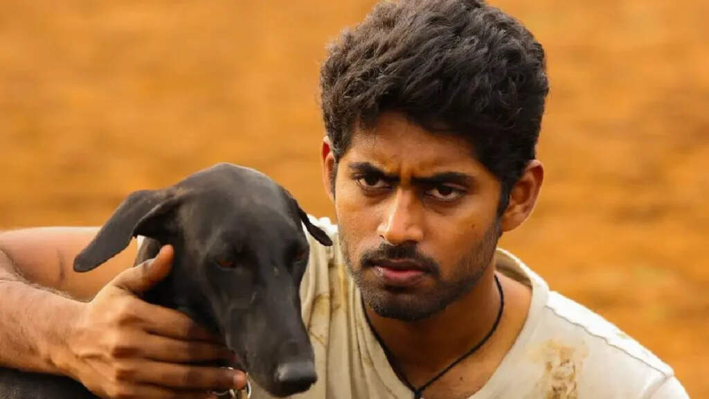 இயக்குனராவதற்கு முன் மாரி செல்வராஜ் என்னென்ன வேலையெல்லாம் செஞ்சிருக்கார் பாருங்க!..