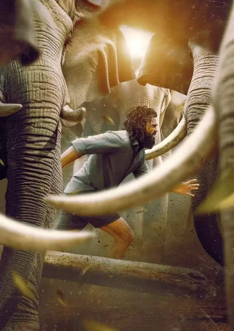 சண்முக பாண்டியன் கையில் இருக்கும் 6 திரைப்படங்கள்!.. சாதித்து காட்டுவாரா கேப்டன் மகன்?!.