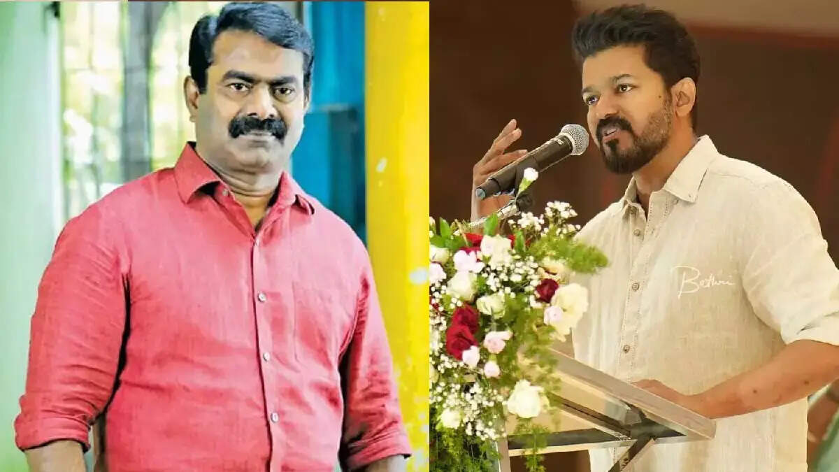 விஜய் பண்றது கருவாட்டு சாம்பாருனா!.. நீங்க பண்றதுக்கு பேர் என்ன?!.. தளபதிக்காக சீமானிடம் பொங்கிய பிரபலம்!..