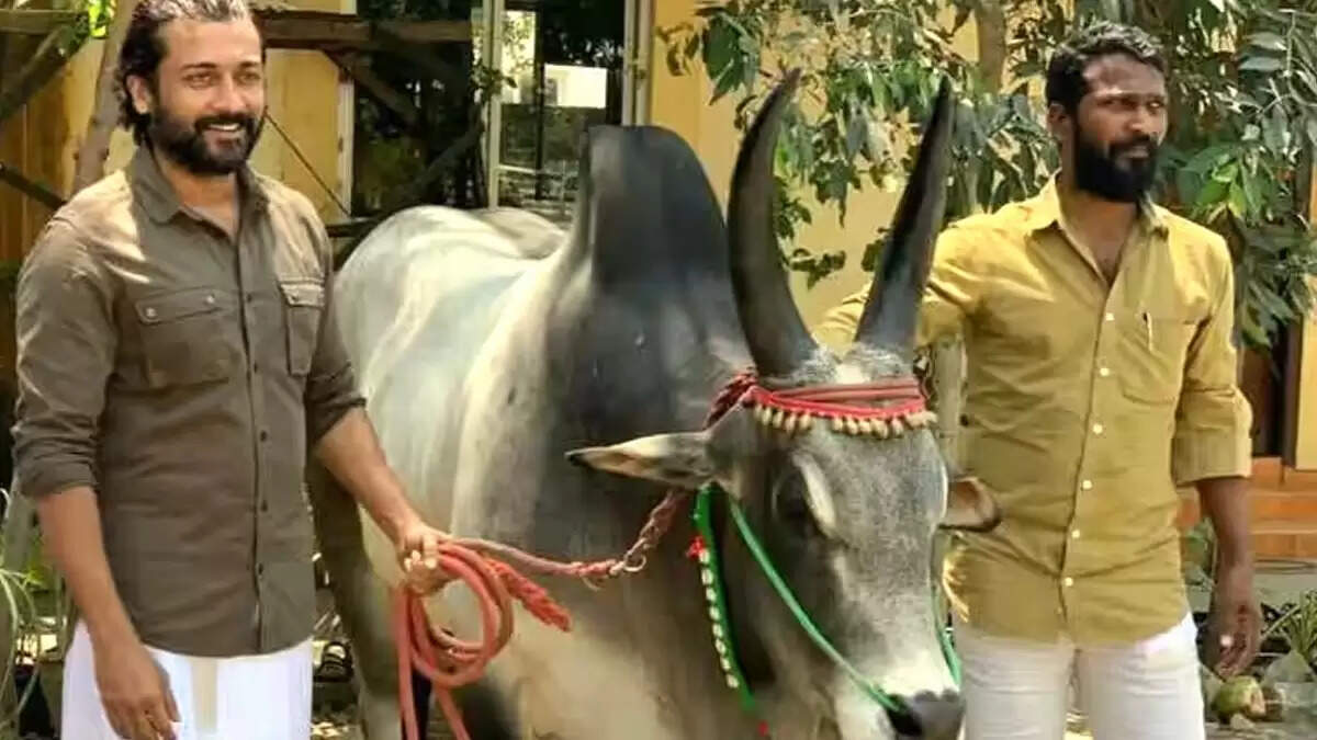 வாடிவாசலுக்கு தேதி குறித்த வெற்றிமாறன்!.. ஐயோ பாவம் சூர்யா!.. எத்தனை வருஷம் ஆகுமோ!..