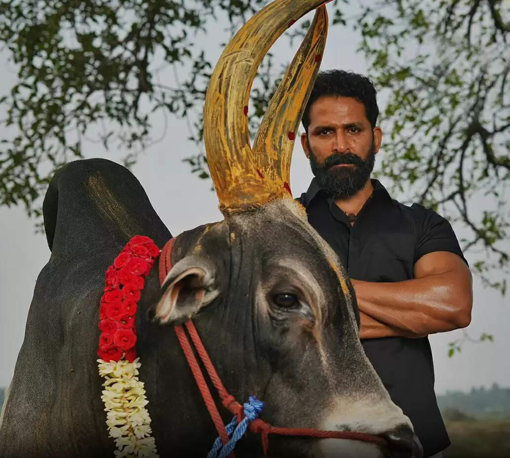 வாடிவாசலில் இவர்தான் நடிக்கிறாரா? வைரலாகும் புகைப்படம்.. சூர்யாவையே மிஞ்சிட்டாரே
