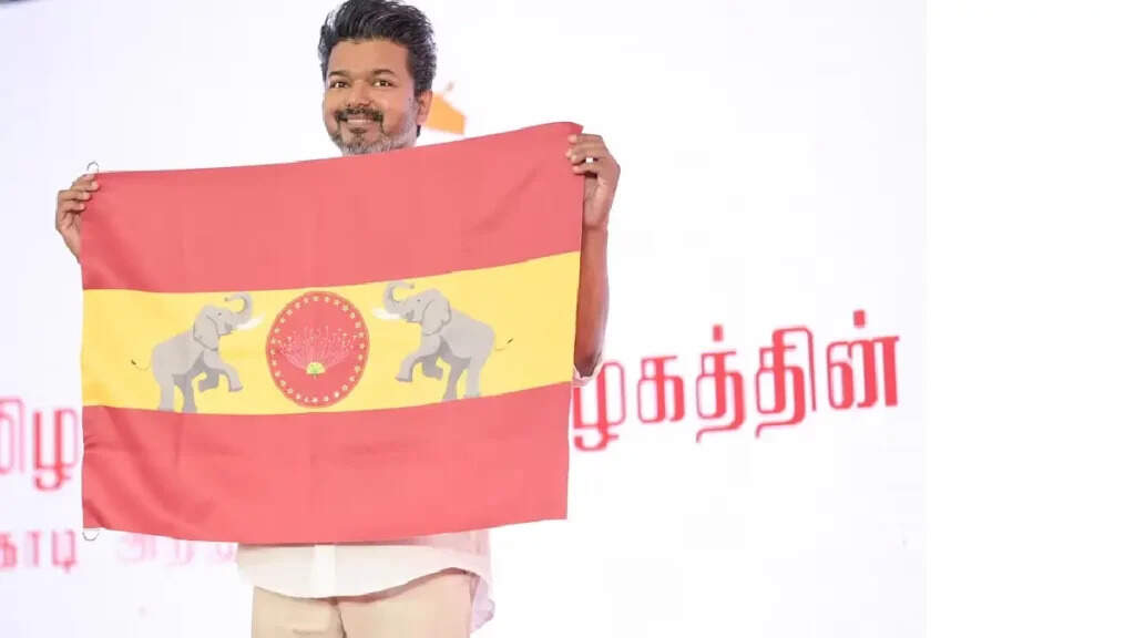 குடும்பத்தையே கவனிக்காத விஜய், நாட்டை எப்படி கவனிப்பார்? விளாசும் பிரபலம்