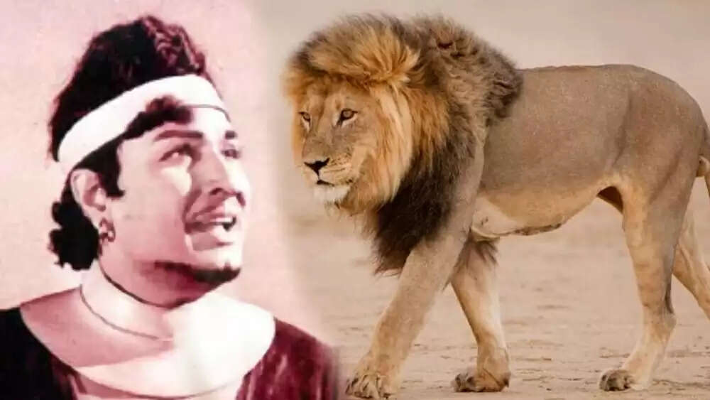 எம்ஜிஆர் பார்முலாவைக் காப்பி அடித்த புருஸ்லீ... எப்படி தெரியுமா? கேப்டன் சொல்வதைக் கேளுங்க...