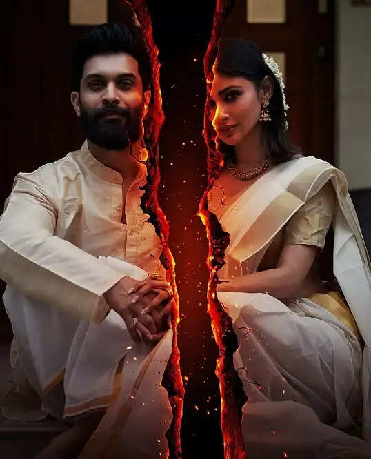 "பிரைவசி கொடுங்கள்" - விவாகரத்துக்கு மௌனி ராய் கிரீன் சிக்னல்!