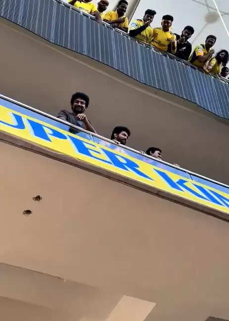 சிஎஸ்கே மேட்ச் பார்க்க வந்த பிளடி பெக்கர்ஸ்!.. ஜெயிலர் 2 அப்டேட் கேட்ட ரசிகர்கள்!.. வைரல் வீடியோ!..