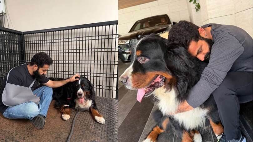 junior ntr gets emotional over death of his pet dog 