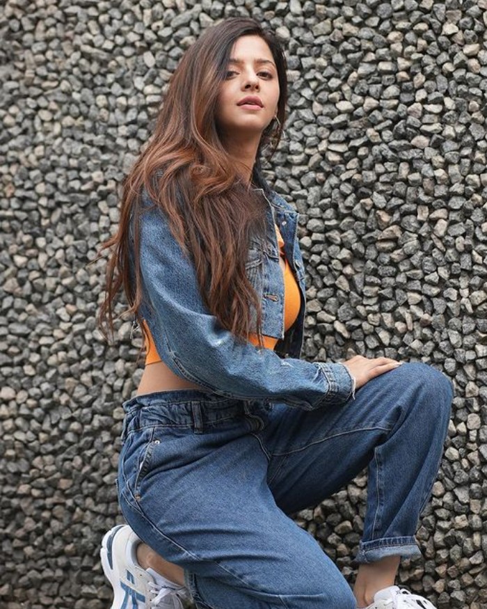 vedhika hd1
