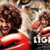 liger