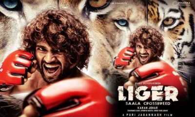 liger