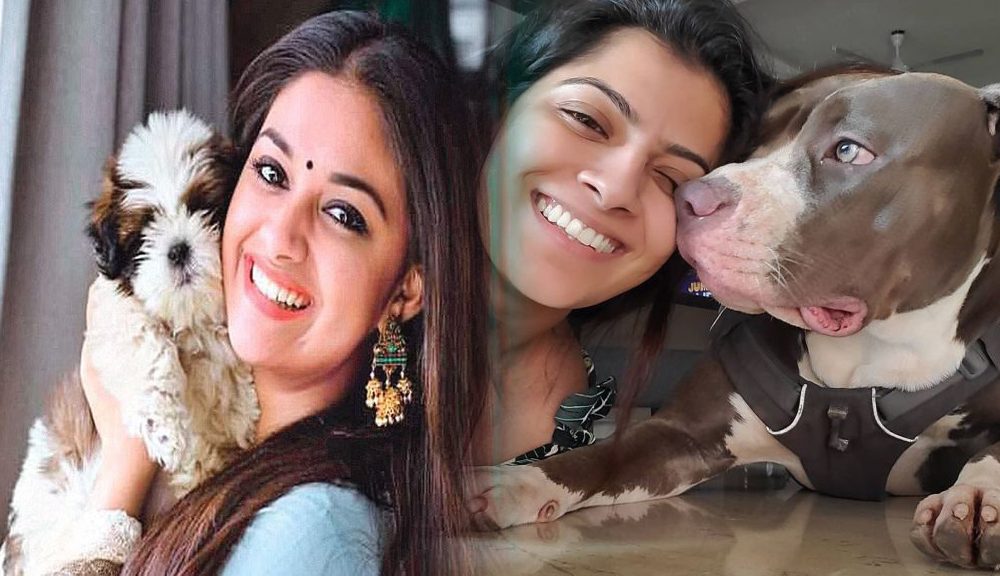 எனக்கு கல்யாணமே வேணாம்! நாய்களுடனே தன் முழு நேரத்தையும் செலவிடும் நடிகைகள்