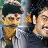 vijay