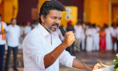 tvk vijay