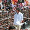 tvkvijay